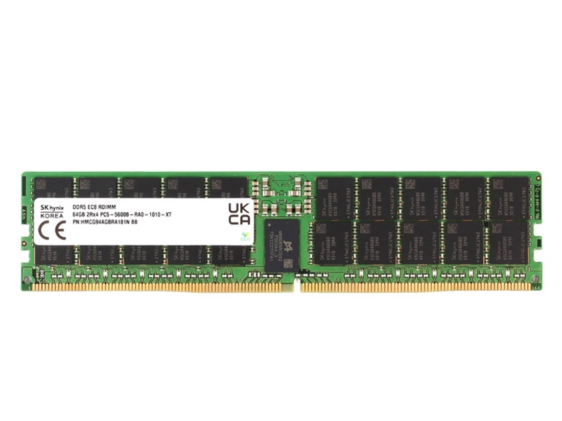 SK 海力士 HMCG94AGBRA181N 64GB DDR5-5600 ECC RDIMM